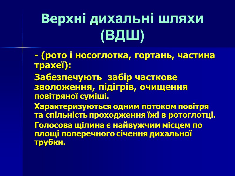 Верхні дихальні шляхи (ВДШ) - (рото і носоглотка, гортань, частина трахеї): Забезпечують  забір